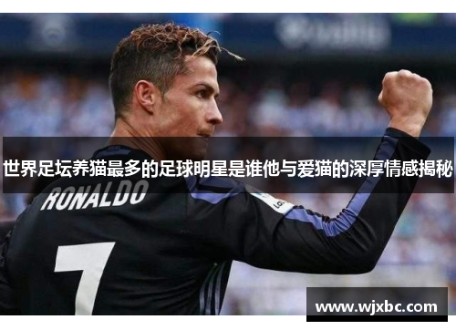 世界足坛养猫最多的足球明星是谁他与爱猫的深厚情感揭秘