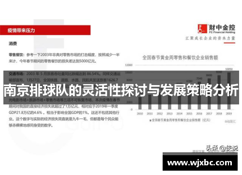南京排球队的灵活性探讨与发展策略分析
