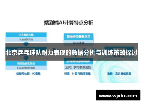 北京乒乓球队耐力表现的数据分析与训练策略探讨