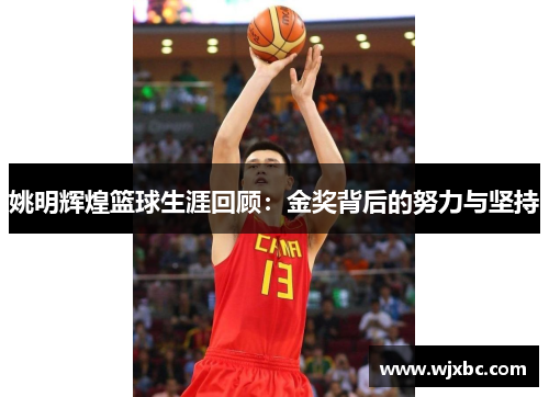 姚明辉煌篮球生涯回顾：金奖背后的努力与坚持